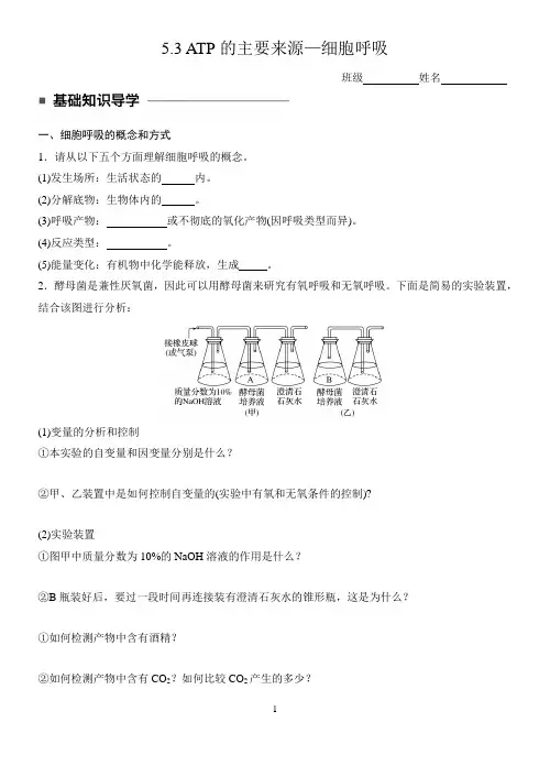 高中生物 第五章 ATP的主要来源—细胞呼吸
