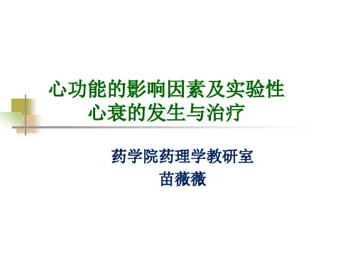心功能的影响因素与实验性心衰  4.1