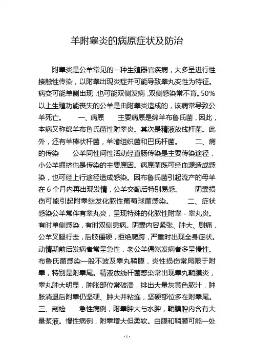 羊附睾炎的病原症状及防治