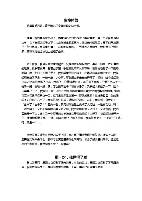 小升初满分作文(10篇)