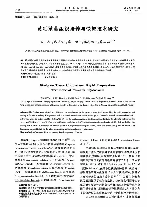 黄毛草莓组织培养与快繁技术研究