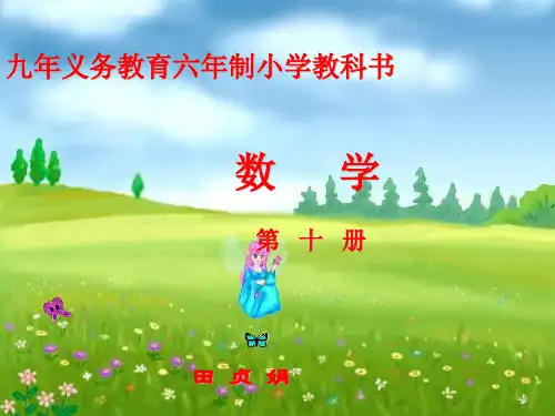 质数和合数PPT课件
