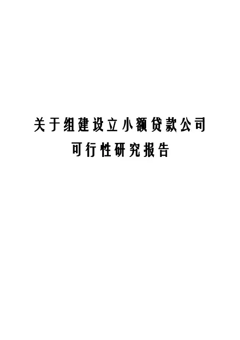 关于组建设立小额贷款公司可行性研究报告
