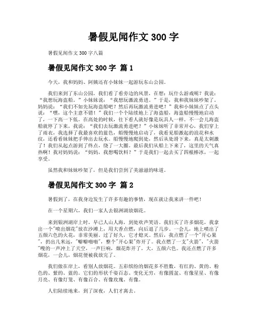 暑假见闻作文300字
