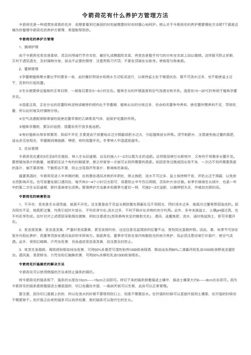 令箭荷花有什么养护方管理方法