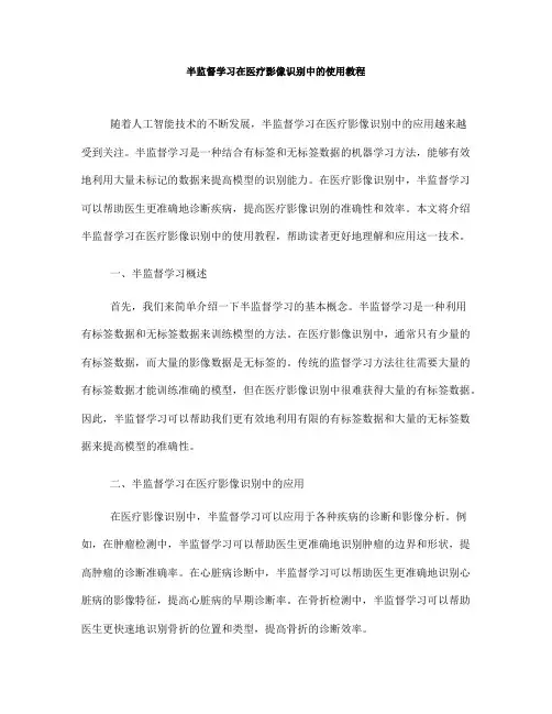 半监督学习在医疗影像识别中的使用教程(Ⅱ)