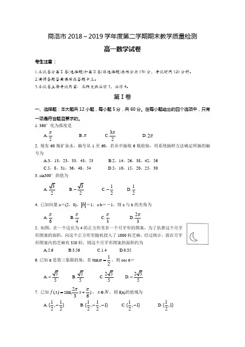 陕西省商洛市2018-2019学年度第二学期高一期末教学质量检测数学试题配参考答案