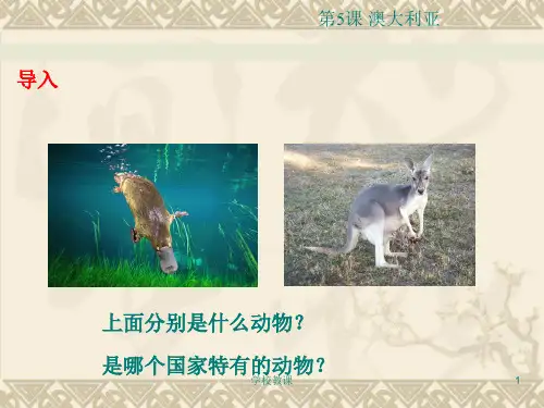 商务星球版地理七年级下册 84 澳大利亚 课件(教师助手)