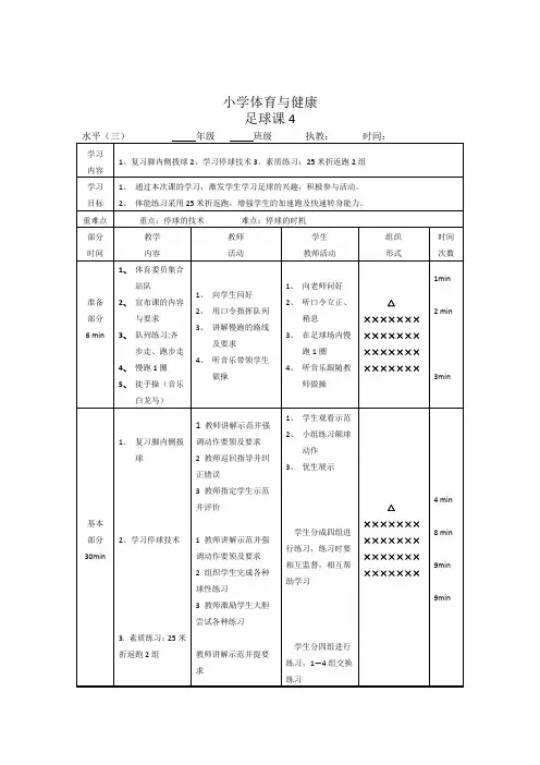 小学体育水平三《足球》教案 (4)