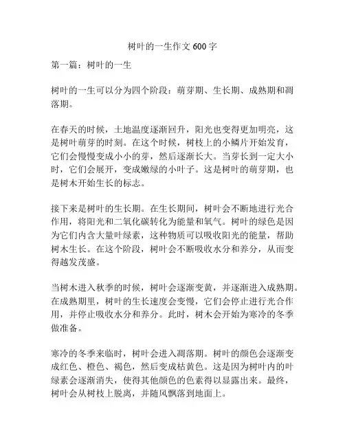 树叶的一生作文600字