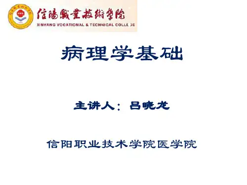 病理学基础--8泌尿系统疾病