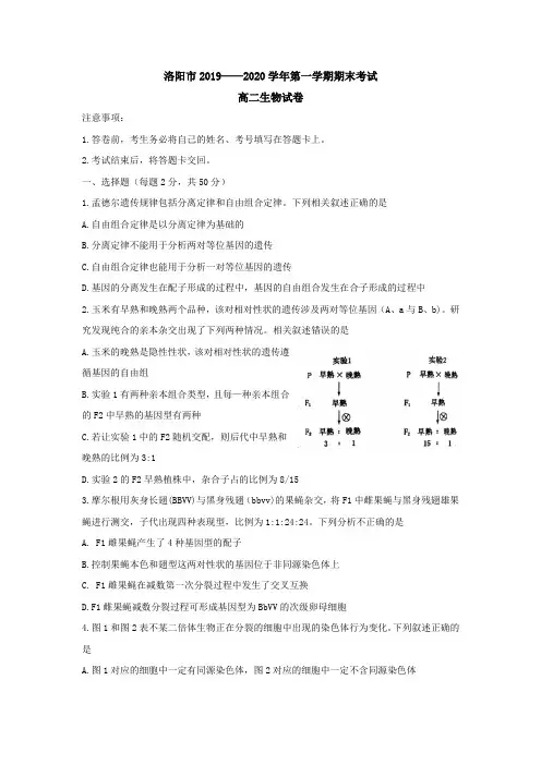 河南省洛阳市2019-2020学年高二上学期期末考试 生物试题