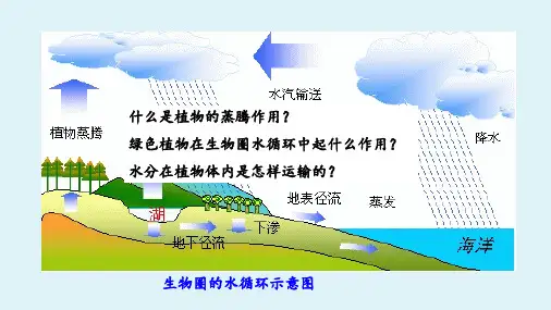 七年级上册生物-第三单元第三章《绿色植物与生物圈的水循环》【课件】