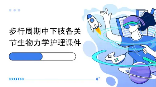 步行周期中下肢各关节生物力学护理课件