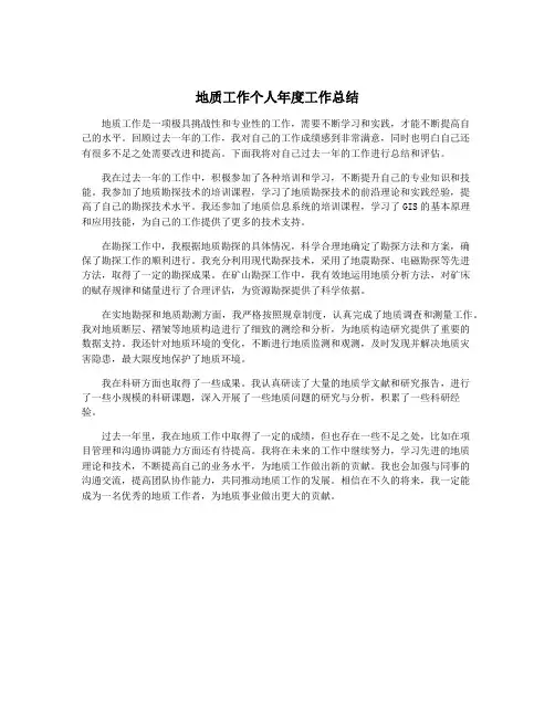 地质工作个人年度工作总结