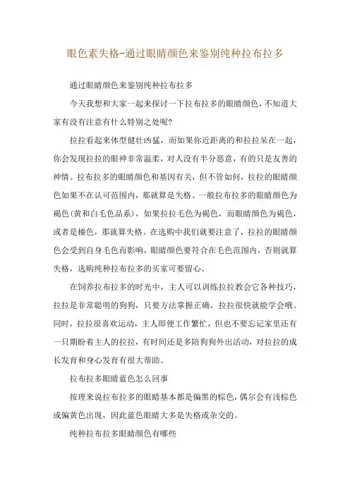 眼色素失格-通过眼睛颜色来鉴别纯种拉布拉多