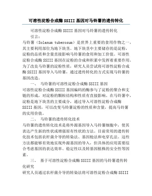可溶性淀粉合成酶SSIII基因对马铃薯的遗传转化