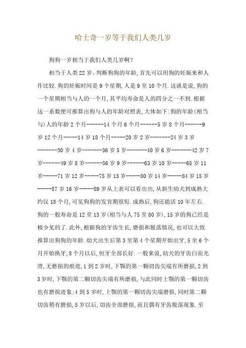 哈士奇一岁等于我们人类几岁