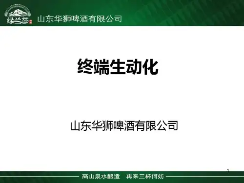 终端生动化标准手册PPT课件