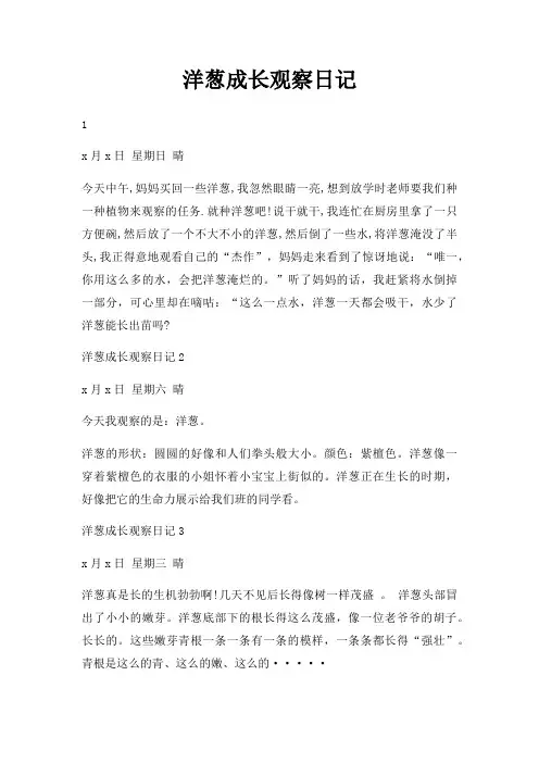 洋葱成长观察日记
