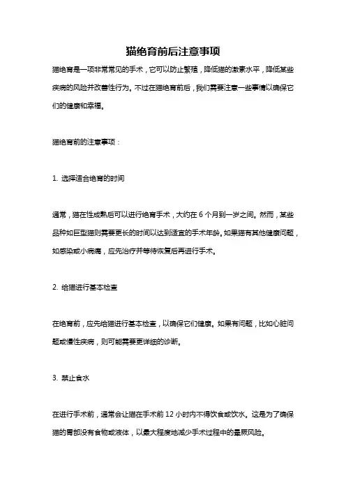 猫绝育前后注意事项