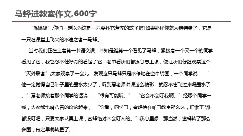 马蜂进教室作文,600字