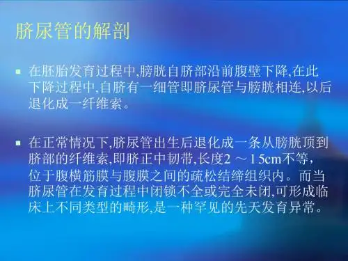 脐尿管疾病的超声诊断