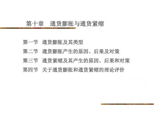 货币银行学(第10章)