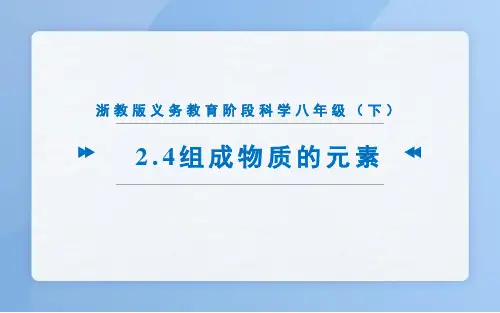 组成物质的元素(PPT课件(初中科学)25张)