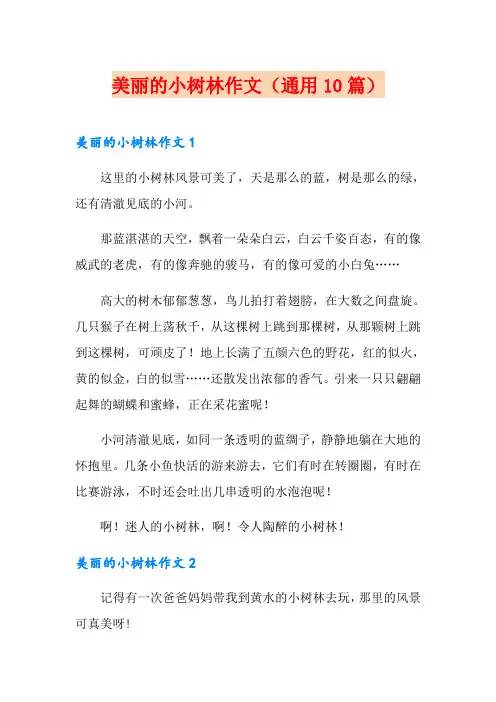 美丽的小树林作文(通用10篇)
