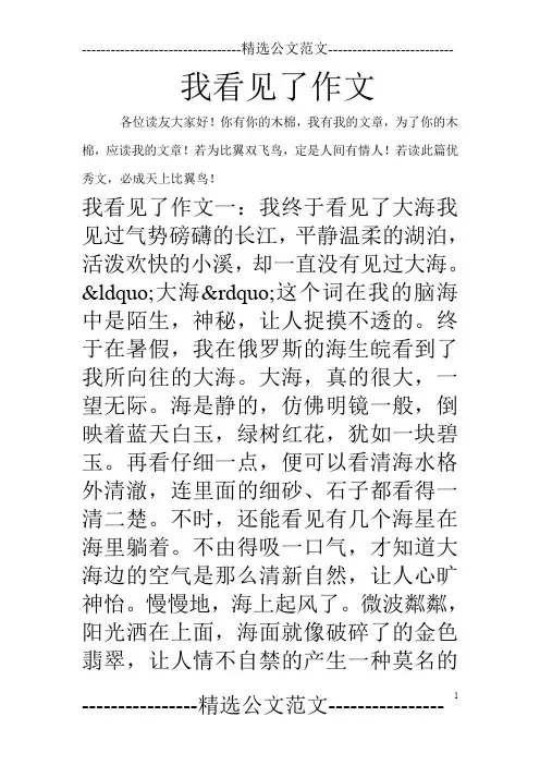 我看见了作文