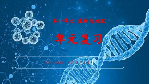【课件】第一单元+生物与细胞+单元复习课件-2024-2025学年人教版生物七年级上册