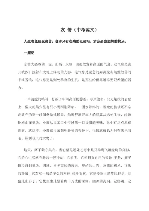 中考满分作文-友情、亲情