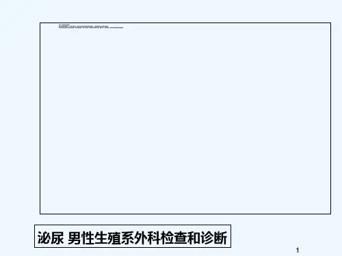 泌尿男性生殖系统肿瘤-PPT