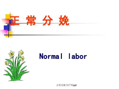 正常分娩 妇产科ppt