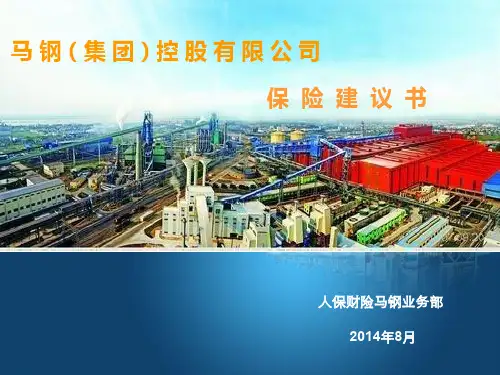 安徽马钢保险项目建议书演示文件