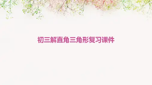 初三解直角三角形复习课件