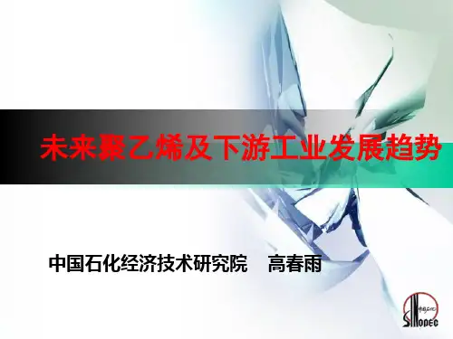 聚乙烯工艺流程图(1).pptt
