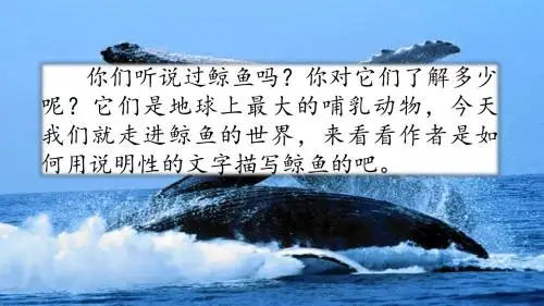 部编版2019年秋五年级上册语文习作例文：《鲸》《风向袋的制作》
