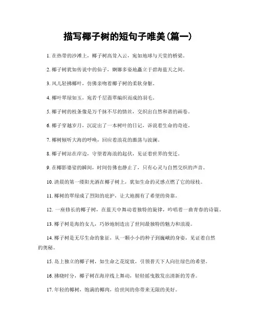 描写椰子树的短句子唯美(精选两篇)