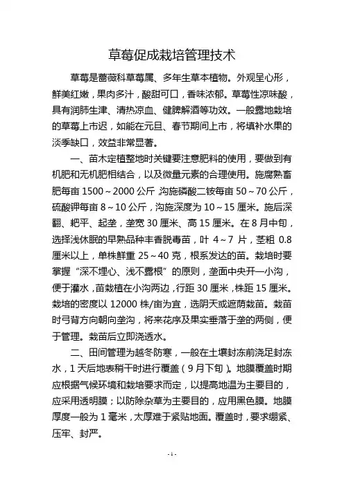 草莓促成栽培管理技术