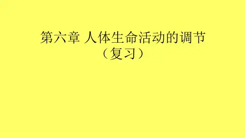 人教版七年级生物下册第四单元第六章《人体生命活动的调节》复习课件(25张PPT)