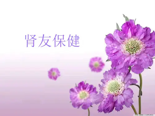 肾友保健(护士长备选)2PPT课件