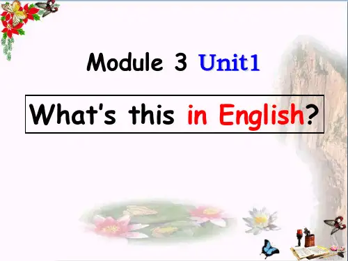 外研版七上Unit1《what's this in English》PPT教学课件
