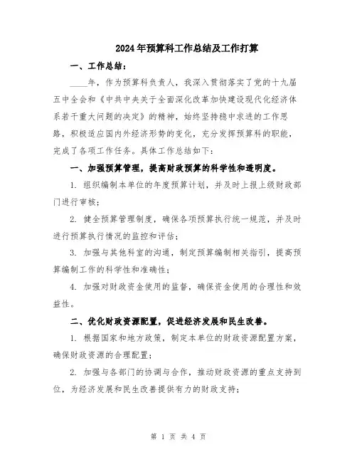 2024年预算科工作总结及工作打算
