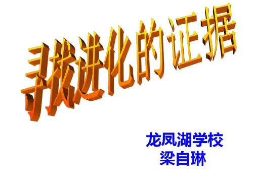 五年级下科学优秀课件-3.11 寻找进化的证据｜冀教版  (15页PPT)