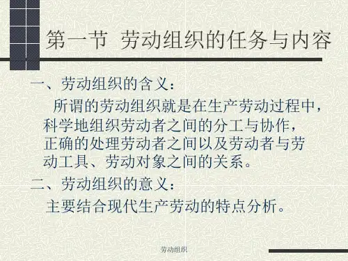 劳动组织课件