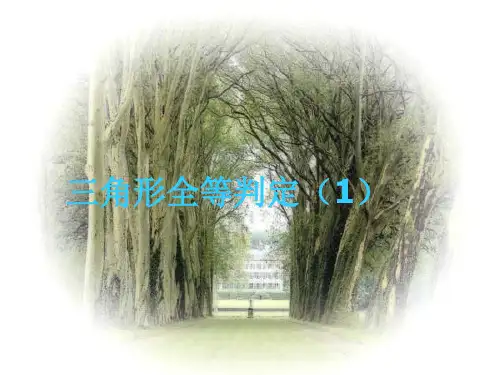 三角形全等的判定