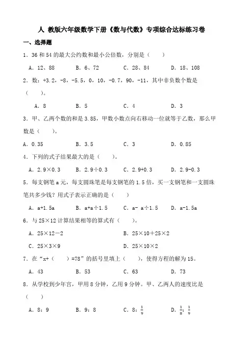 人教版六年级数学下册《数与代数》专项综合达标练习卷