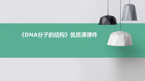 《DNA分子的结构》优质课课件